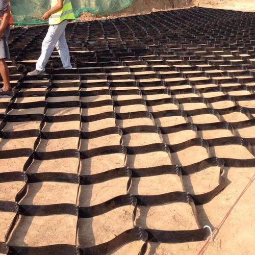 廣西百色田陽(yáng)三維土工網(wǎng)墊廠家 集團(tuán)實(shí)業(yè)公司格室的創(chuàng)新與應(yīng)用