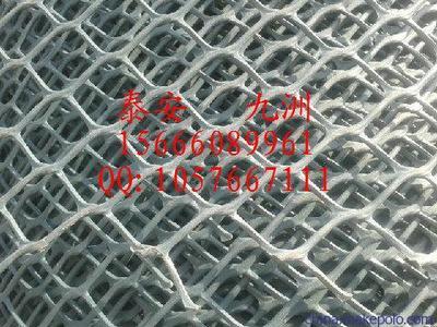 溫州高強度土工網(wǎng)與泰安九洲土工格室 規(guī)格齊全，應(yīng)用廣泛